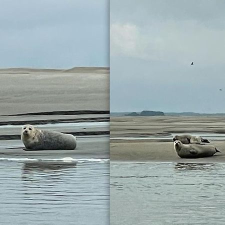 En Plein Coeur Du Crotoy, Un Pied A Terre En Baie Lägenhet Le Crotoy Exteriör bild