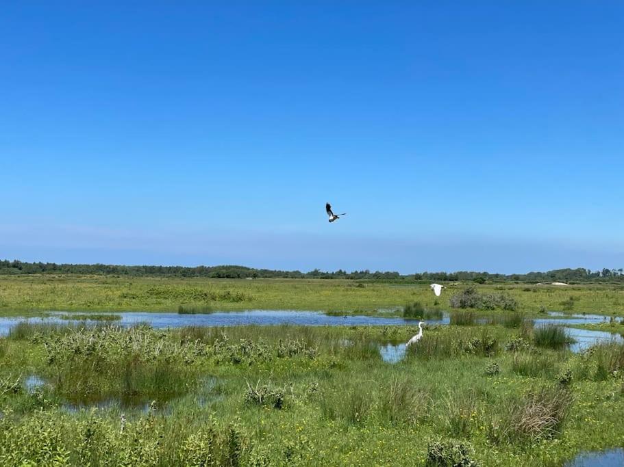 En Plein Coeur Du Crotoy, Un Pied A Terre En Baie Lägenhet Le Crotoy Exteriör bild